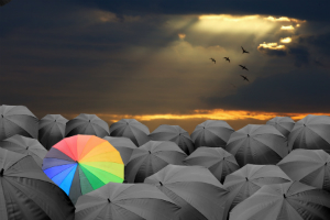 parapluies couleurs 300X200