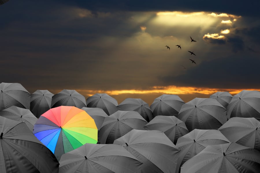 parapluies-couleurs-900X600