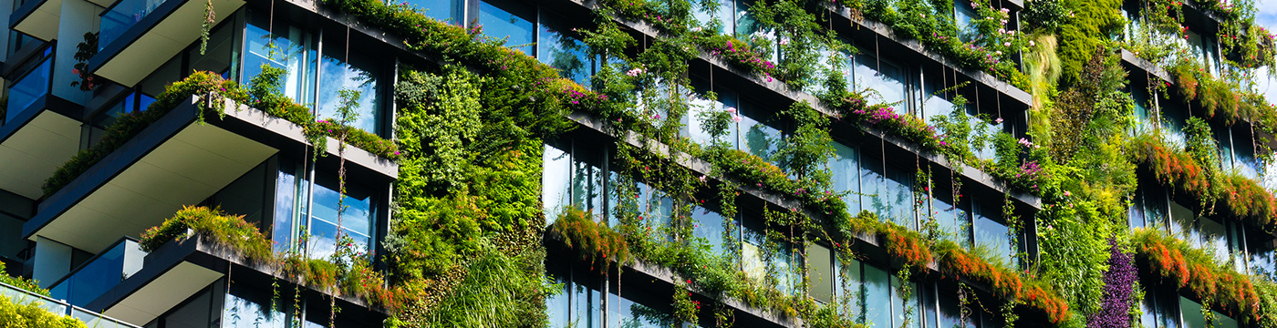  CBRE immeuble