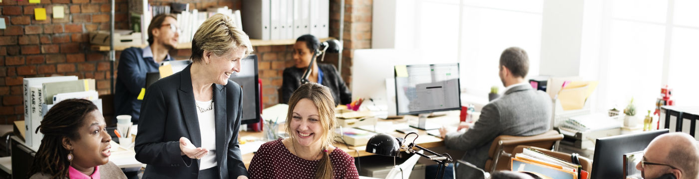 banniere occupier survey