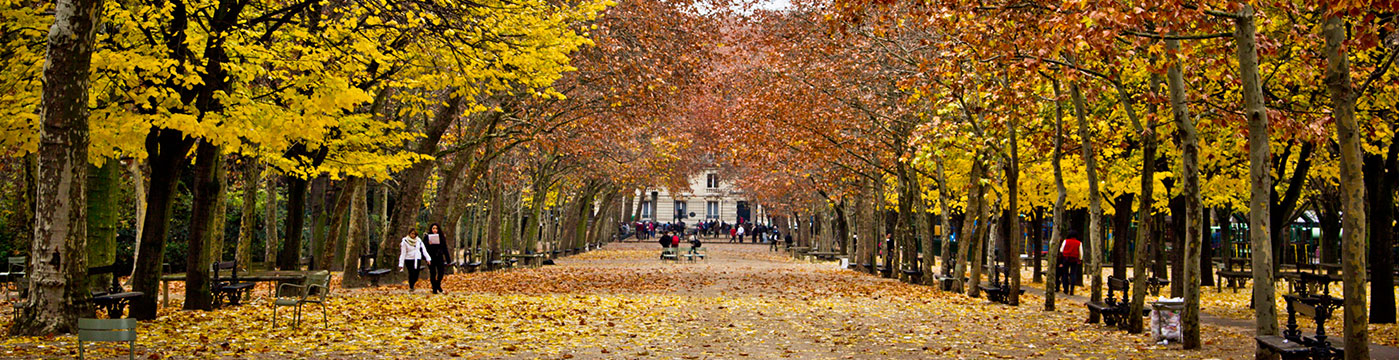 Jardin du Luxembourg 