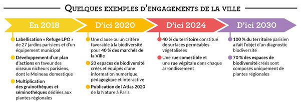 Engagements Paris Green initiatives