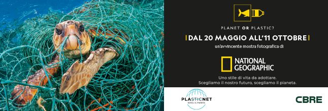 PlasticNet