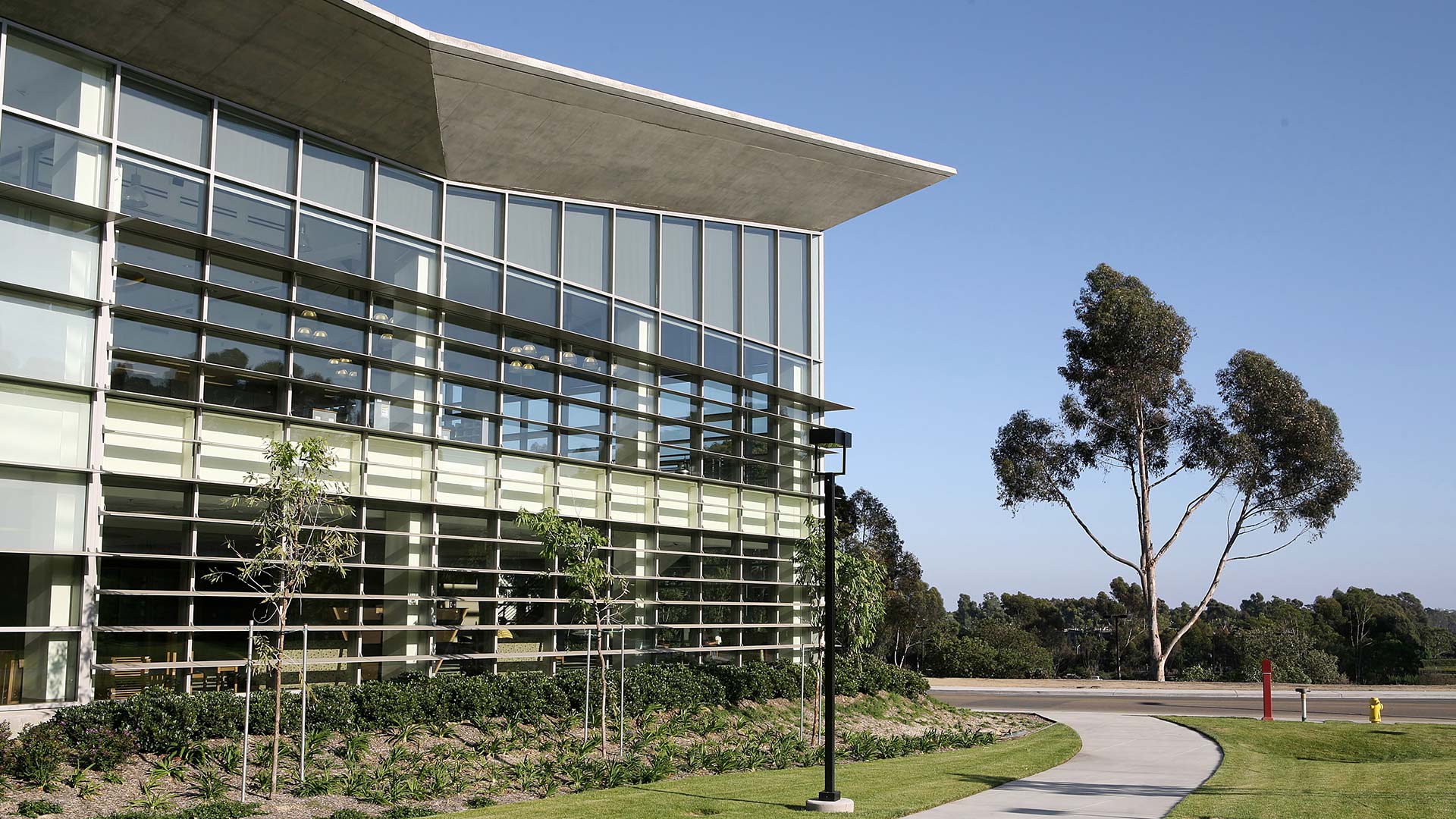 Office building with glass facade and curved roof, surrounded by landscaping, pathway and trees in a professional corporate campus environment.