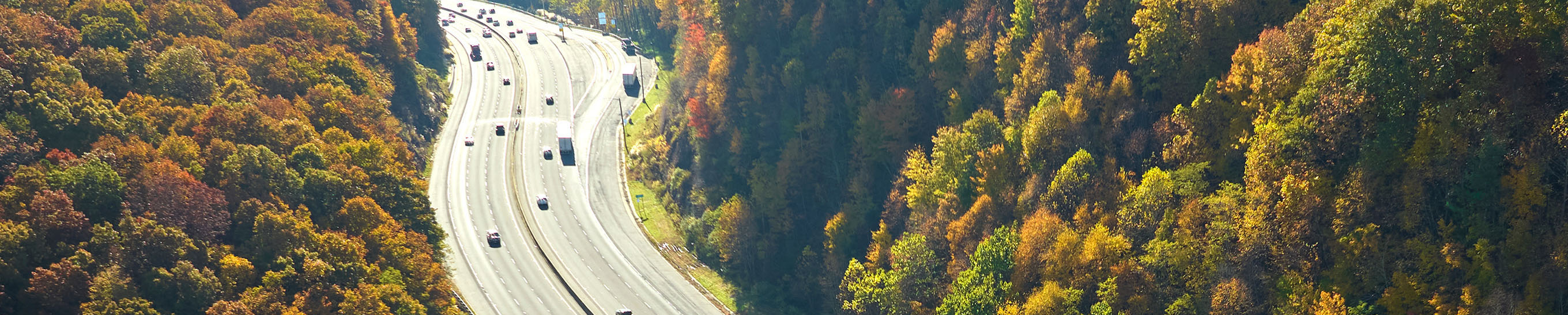 Expressway through dense forest