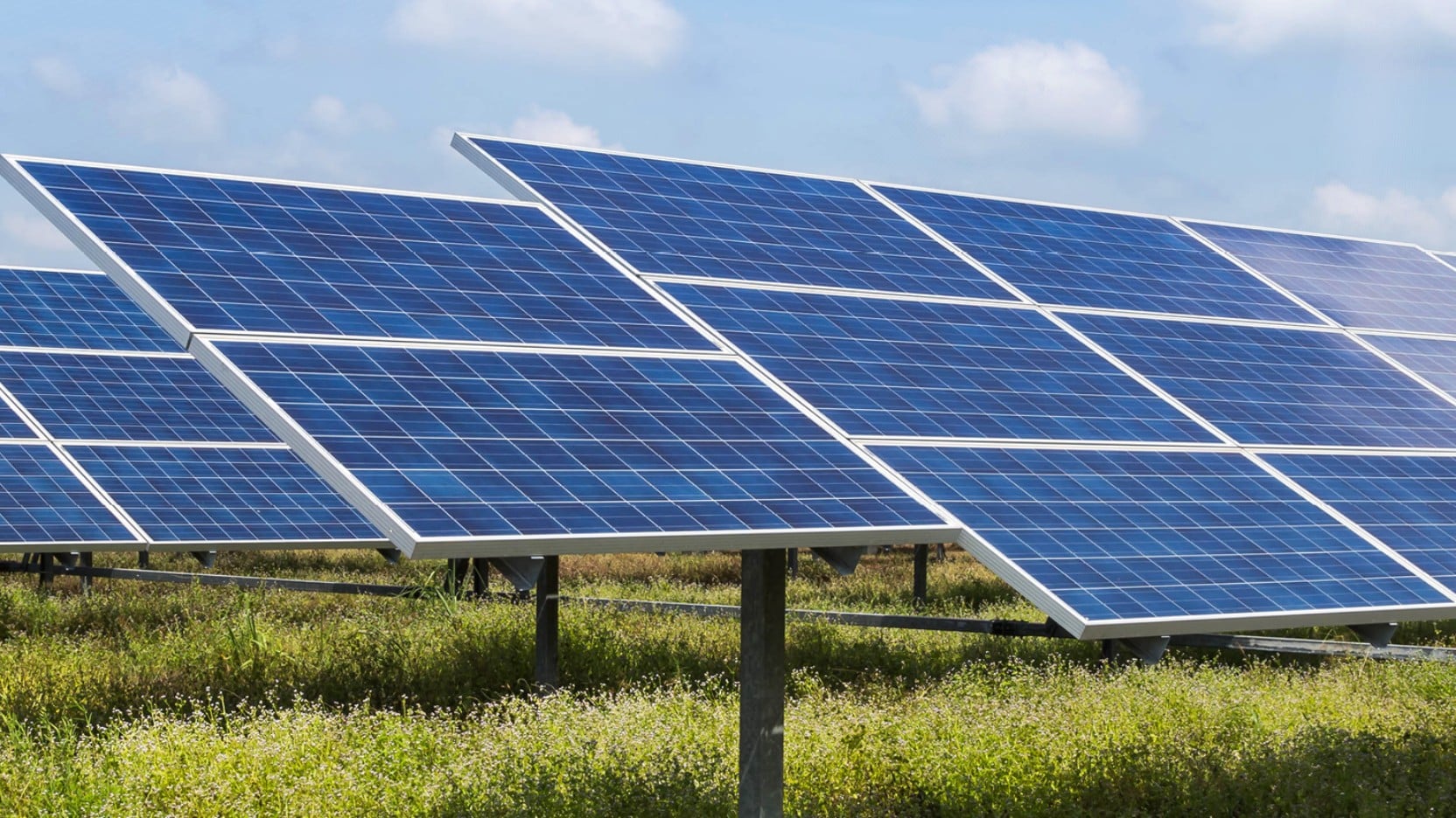 Rows of solar panels at a utility-scale solar farm surrounded by green vegetation under a partly cloudy sky, representing renewable energy infrastructure investment