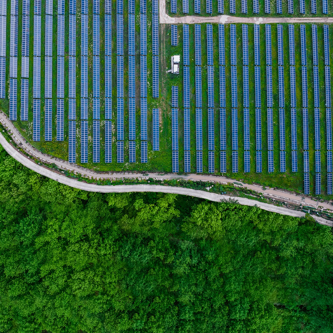 Aerial view of a large utility-scale solar panel farm with rows of photovoltaic panels on green grass, bordered by a winding access road and dense forest canopy