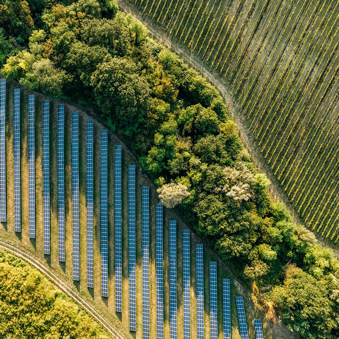 Aerial view of solar panels integrated with natural land, representing renewable energy infrastructure sites within the CBRE Investment Management-backed Accelerate platform.