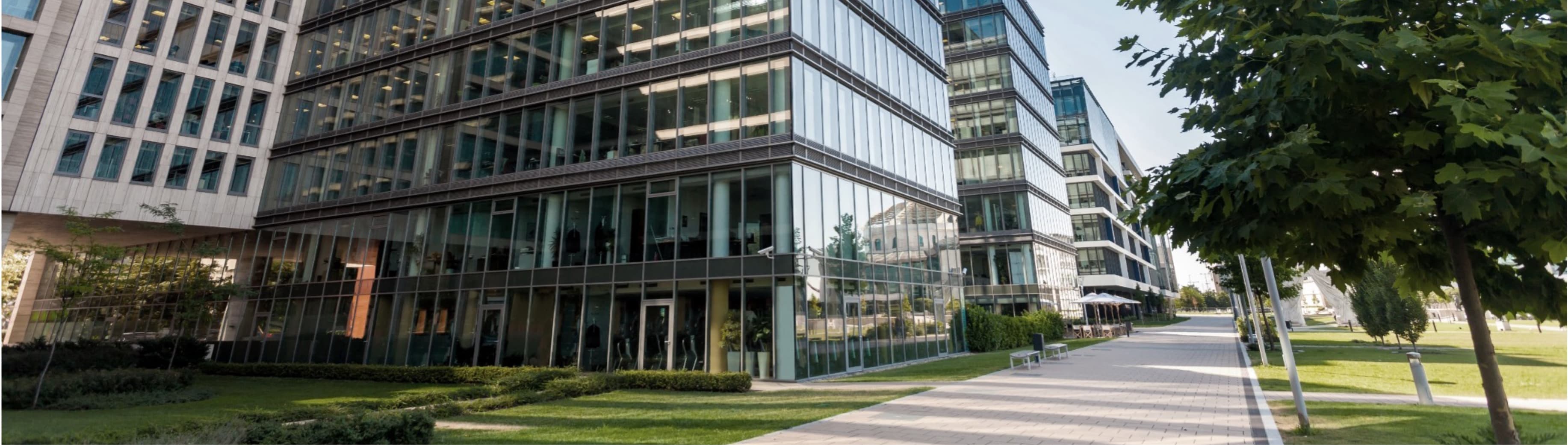 MO2025-infogram-capitalmarkets