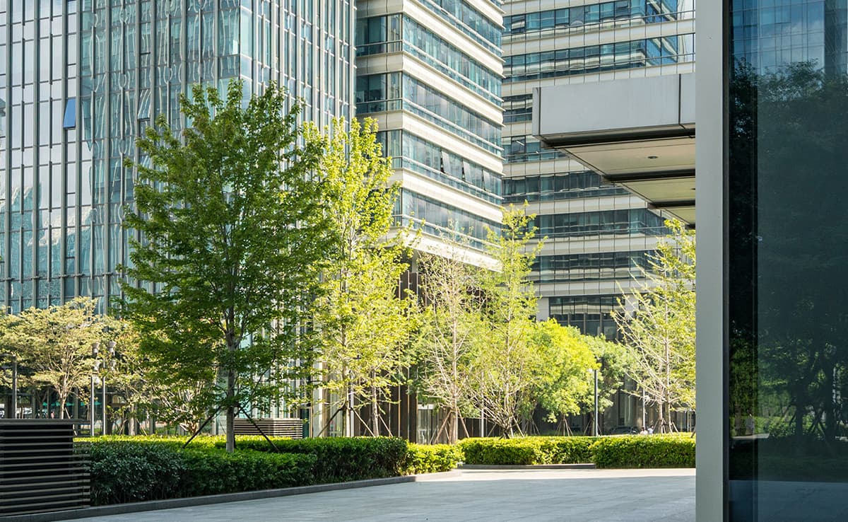 Image of downtown buildings for 2026 Canada Real Estate Lenders Report