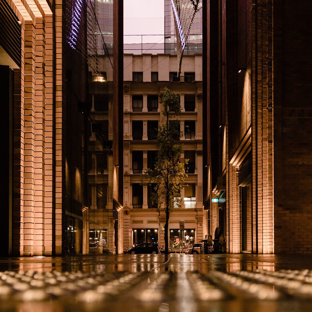 A low-angle shot captures a wet city street at night, with tall brick buildings and reflective glass structures leading the eye towards an older building and a lone tree in the distance.