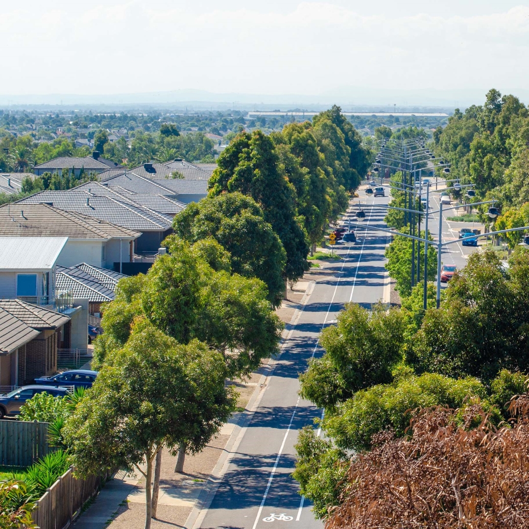 An aerial view of a wide, tree-lined street with houses on the left and cars driving on the right in a suburban Australian neighbourhood.