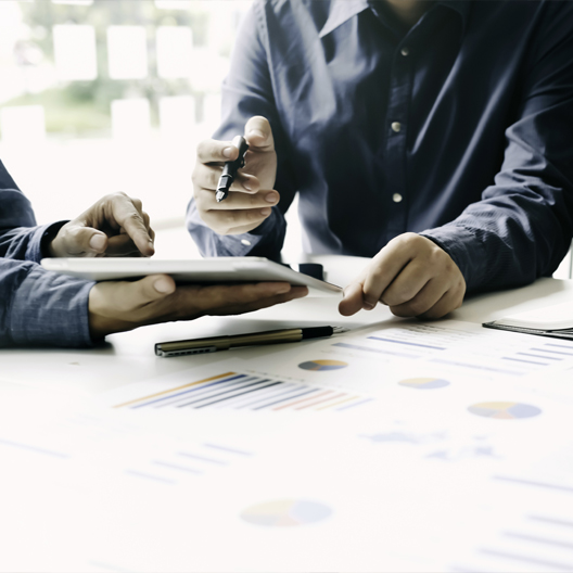 portfolio-strategy_528x528