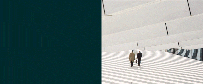 valuation-and-advisory-service-page-gif