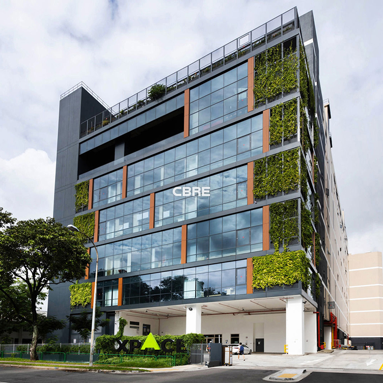 218-pandan-loop_752x752
