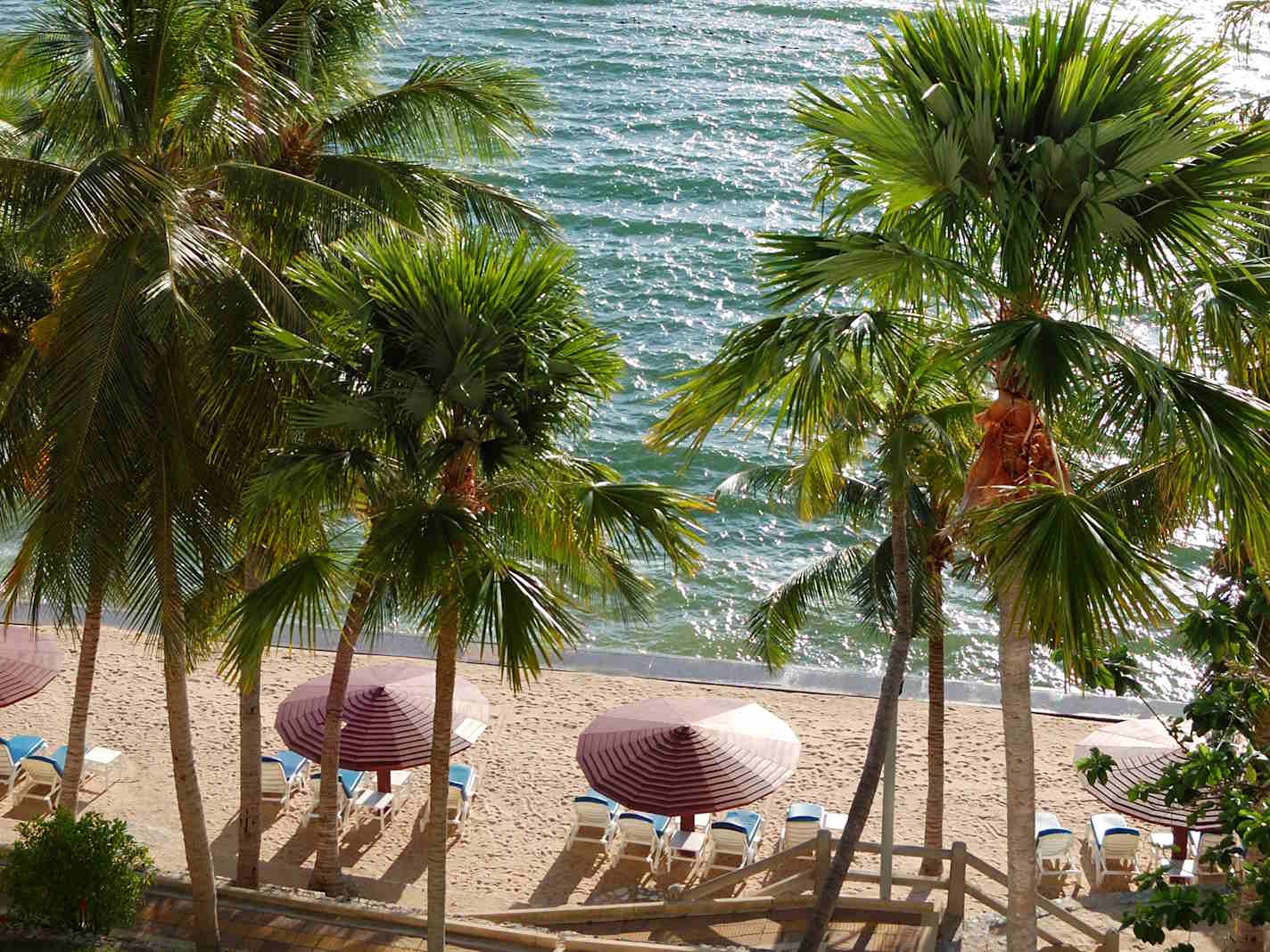 paid-report-pattaya-1424x1068