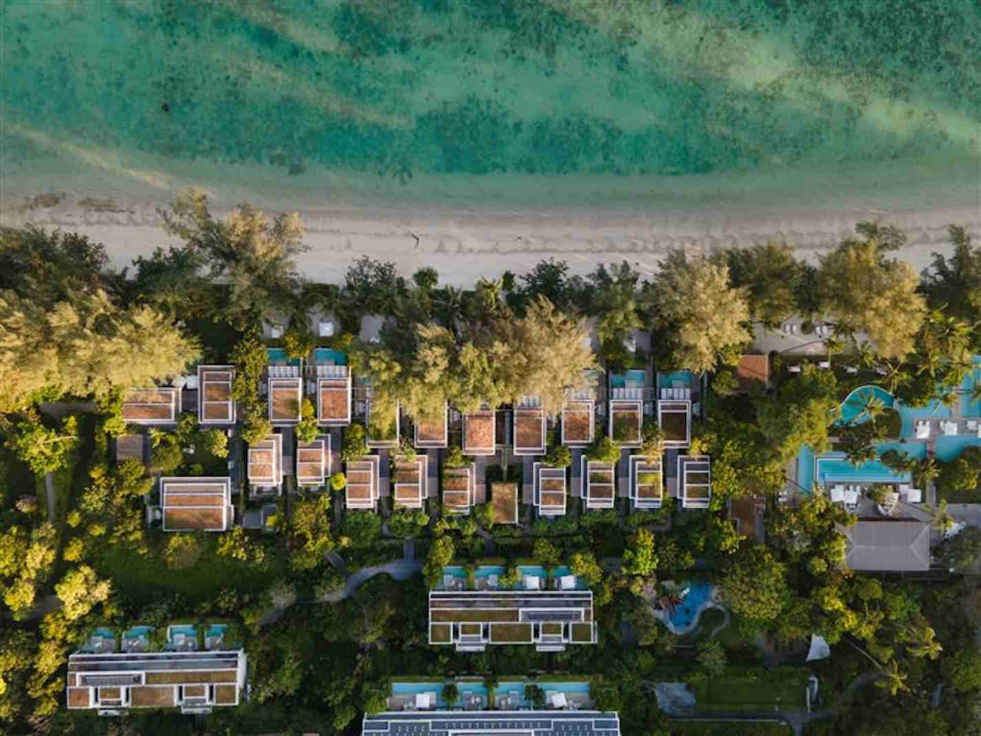 paid-report-phuket-1424x1068