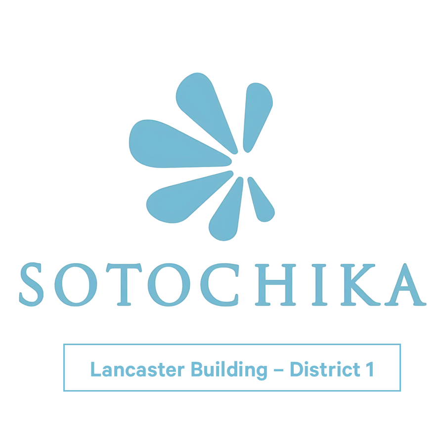 Sotochikaavatar EN
