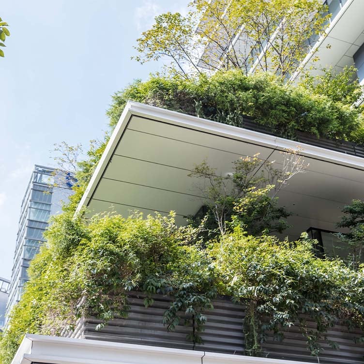 immobilier green
