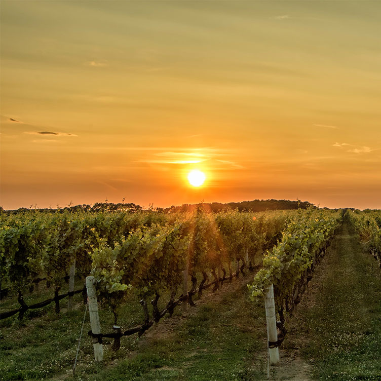 expertise régional rhones alpes bourgogne