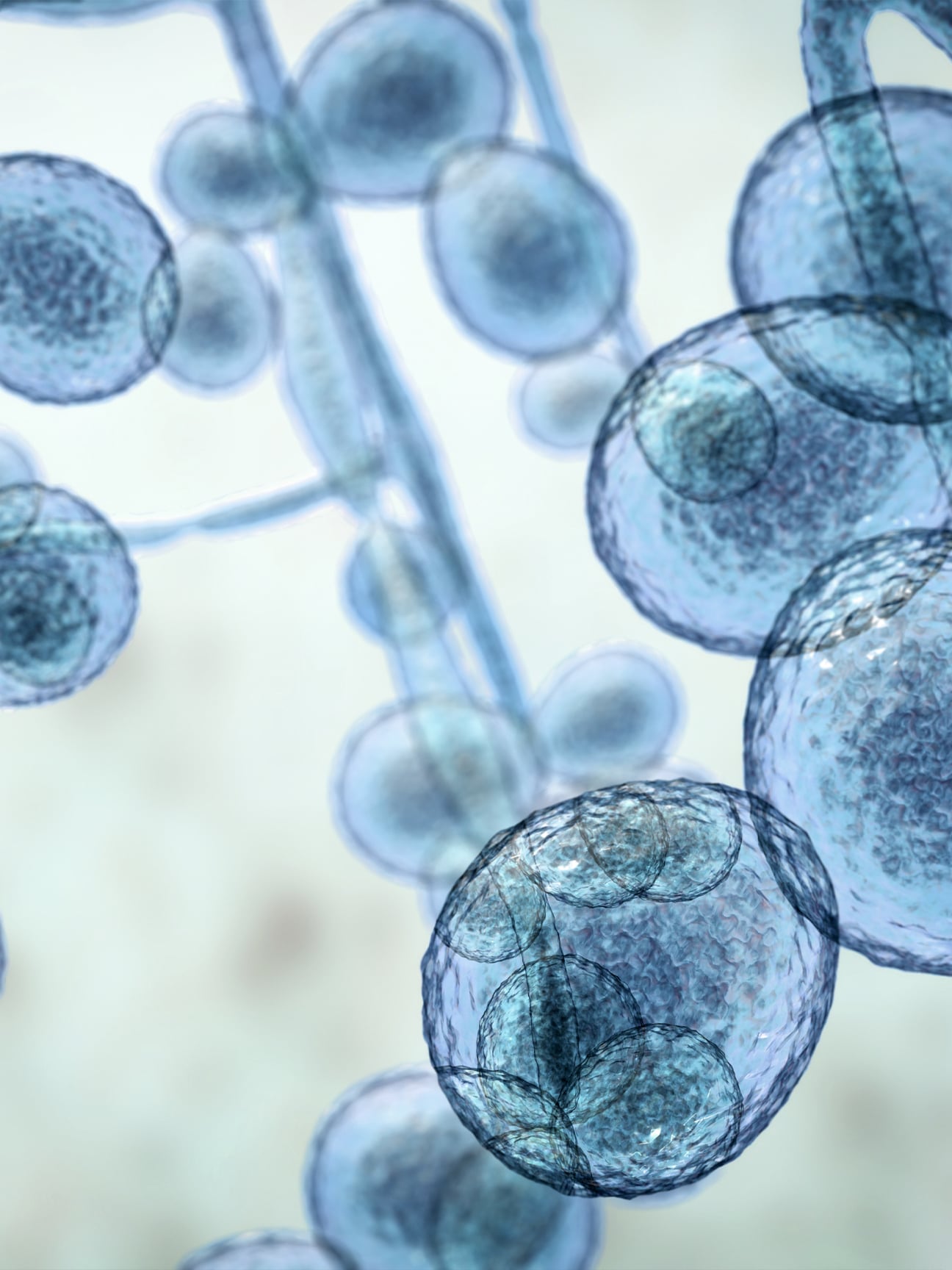 life-sciences-hero-972x1296-a