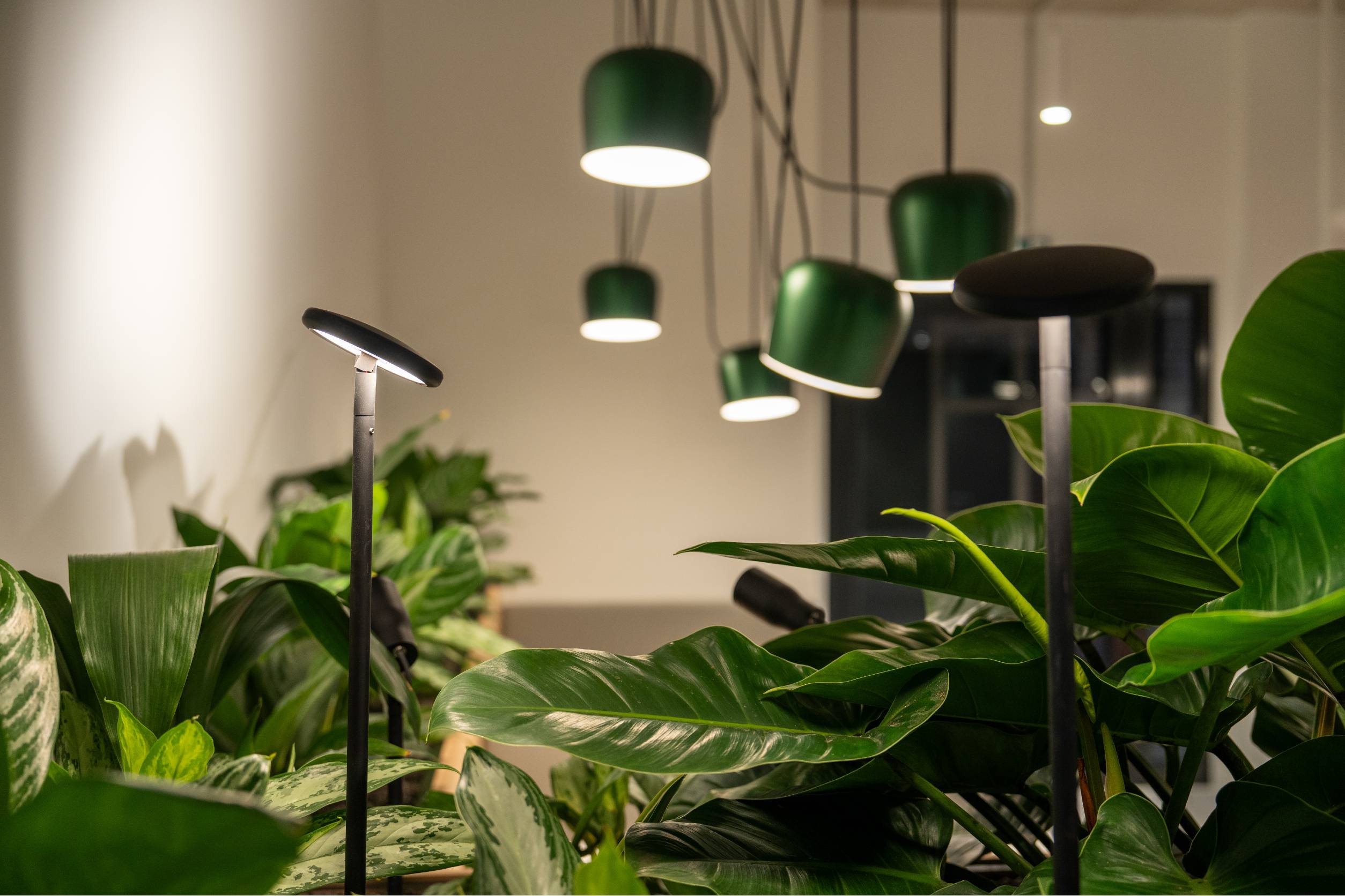 accor-consulting-gallery-14