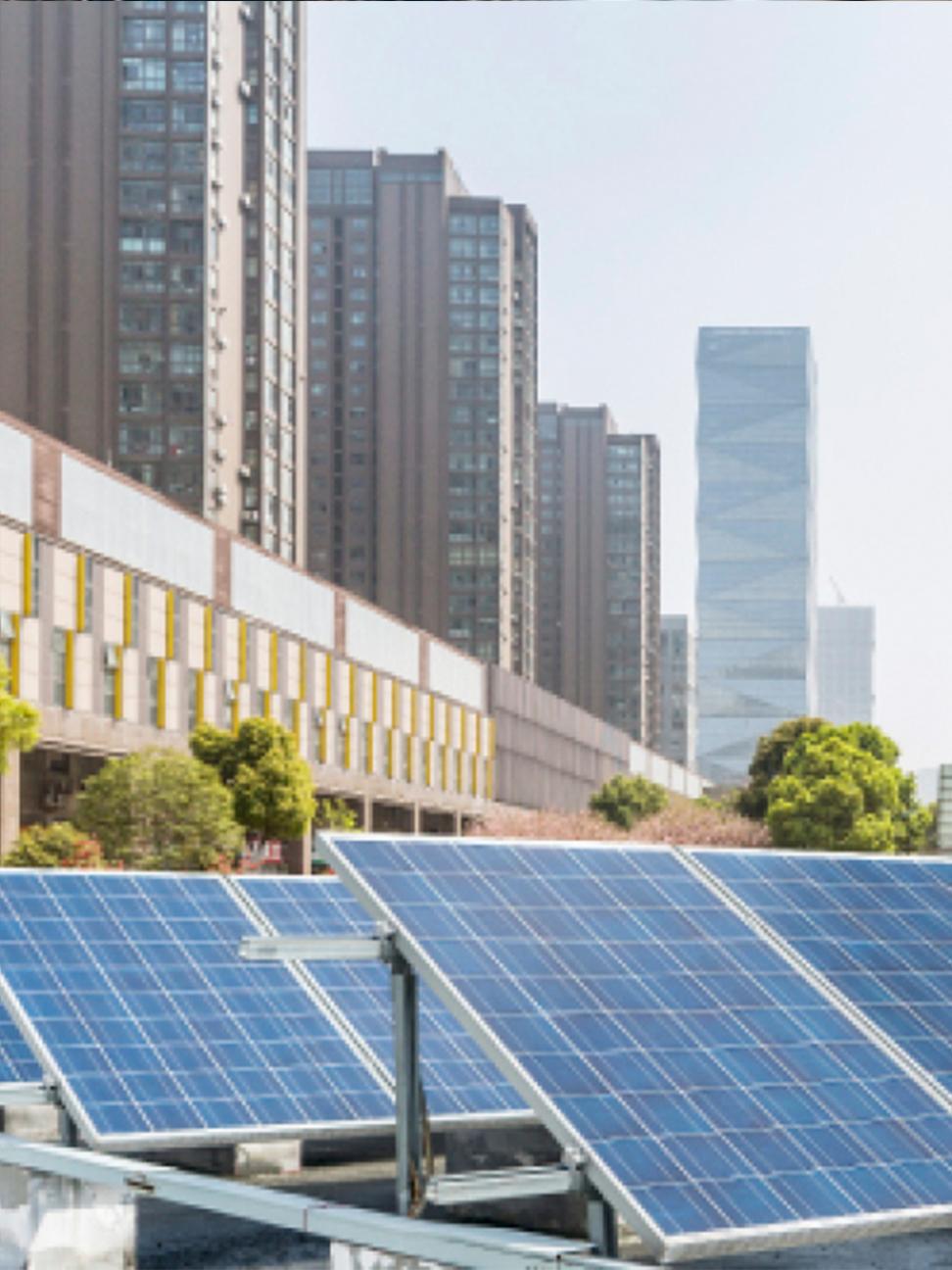 The Future of Sustainability