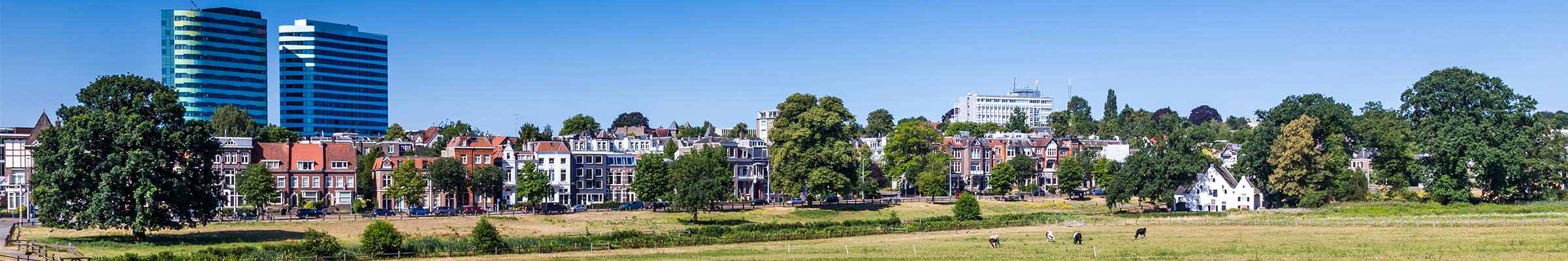 Een panoramisch uitzicht op een stedelijk landschap met een groot grasveld op de voorgrond. Aan de horizon zijn verschillende gebouwen zichtbaar, waaronder twee moderne, groene torens aan de linkerkant en een rij traditionele huizen in het midden. Rechts van het midden is er nog een groot gebouw te zien. De lucht is helderblauw en er zijn enkele bomen verspreid over het gebied, zowel op het grasveld als tussen de gebouwen.