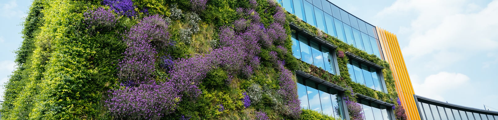 Modern green building in city