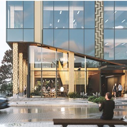 wood-means-business-90-Devonport-Rd-Tauranga-1080x1080