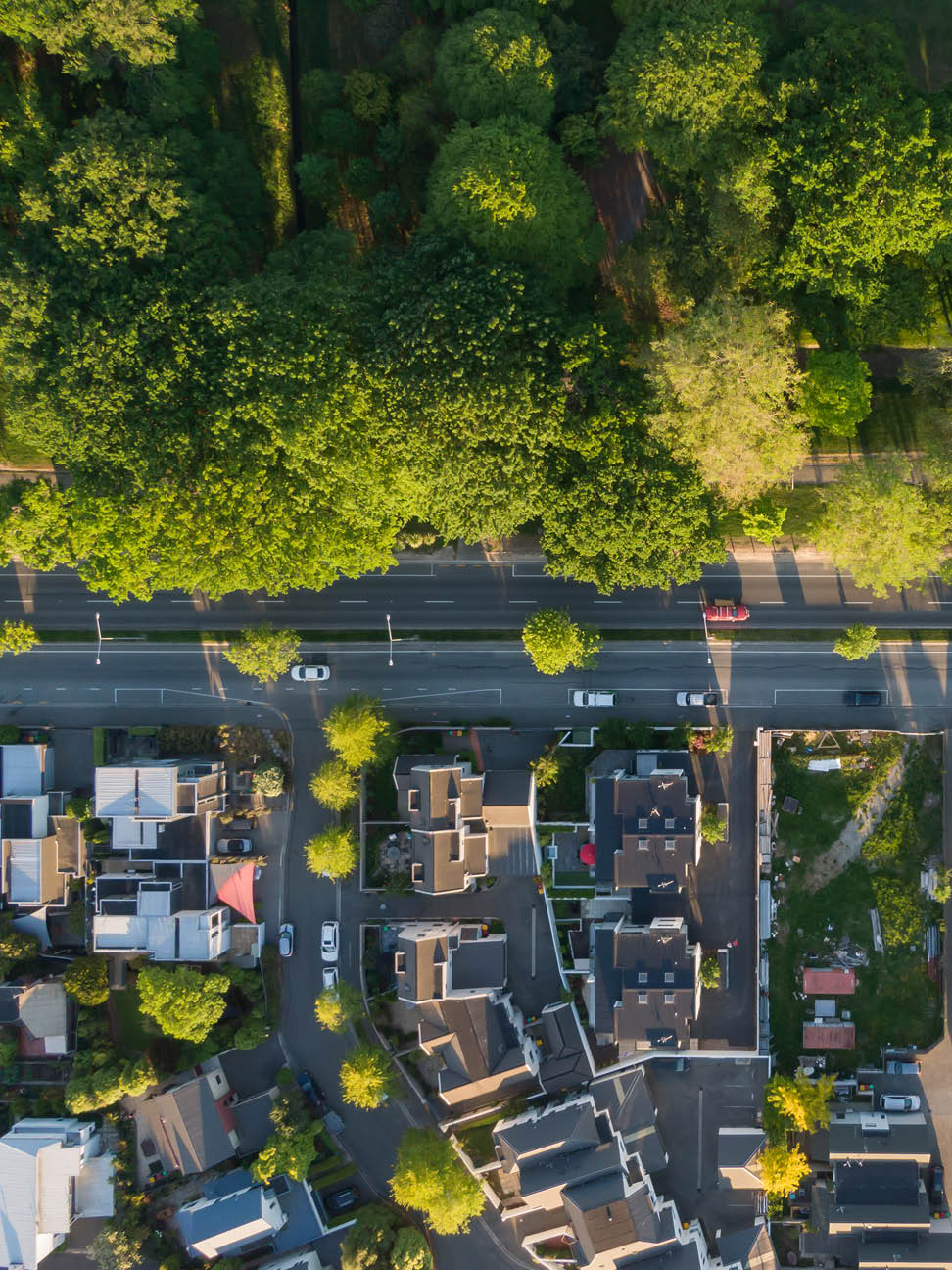 residential-market-uplift-on-the-horizon-in-christchurch-972x1296