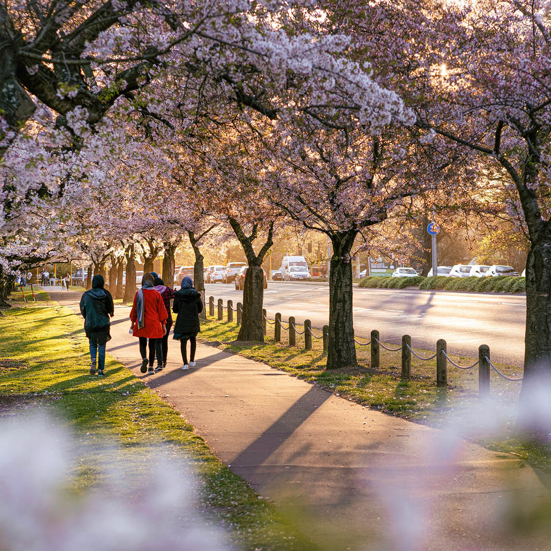 springtime-optimism-christchurchs-property-market-flourishes-1080x1080