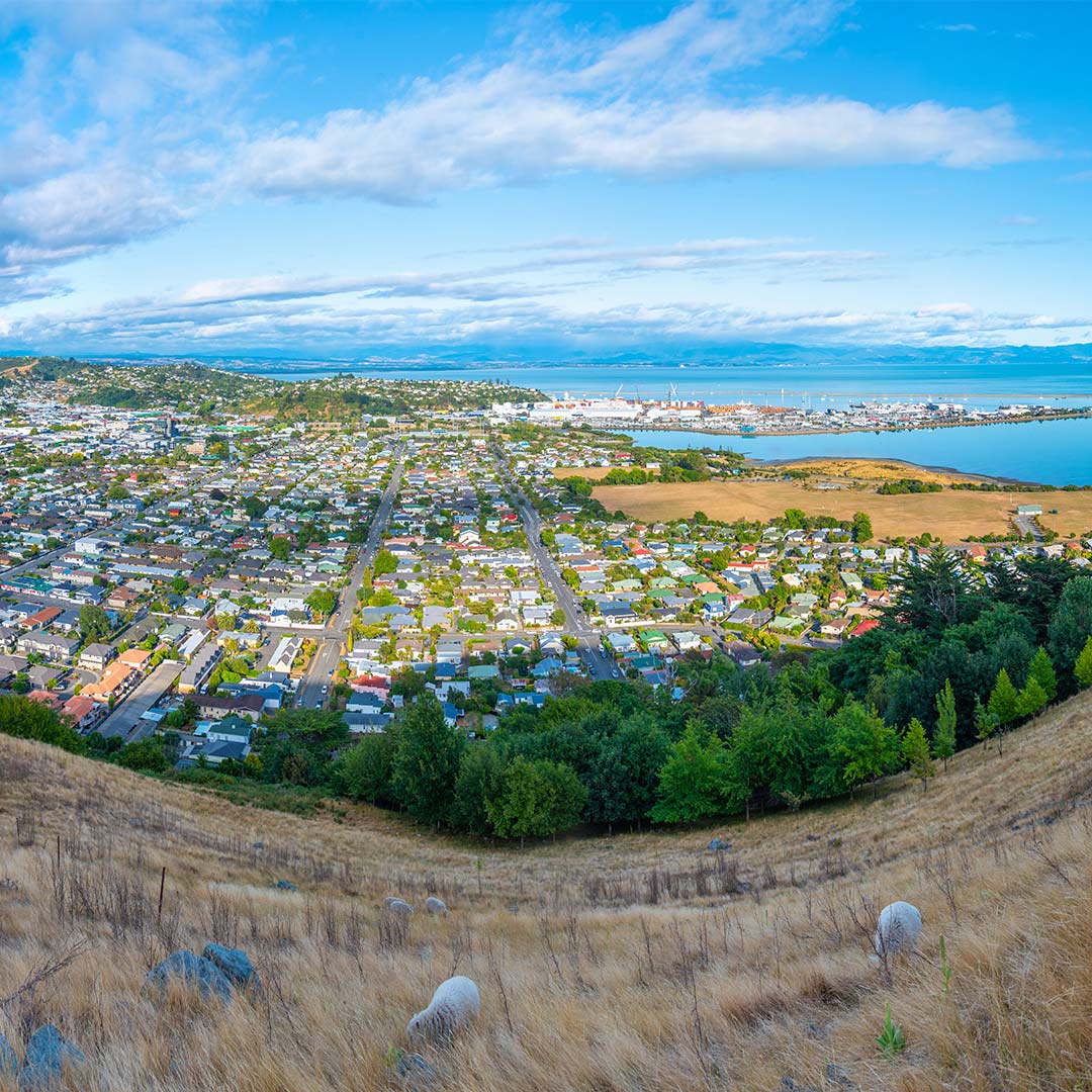 nelson-2023-regional-report-1080x1080