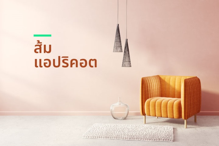 ColorsTrend2023-3th-720x480