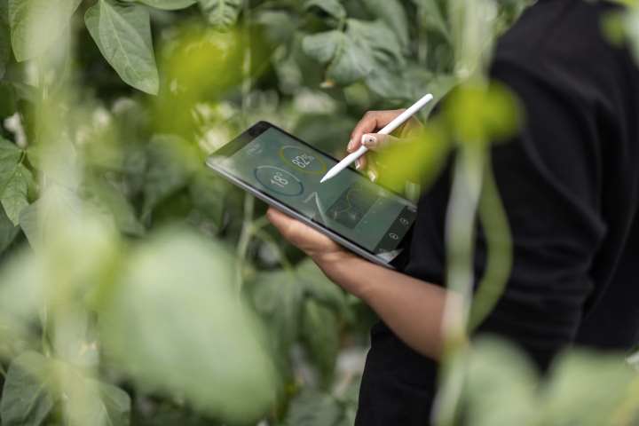 value-of-esg-consulting-720x480