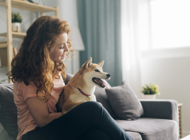 wohnung-frau-hund-sofa
