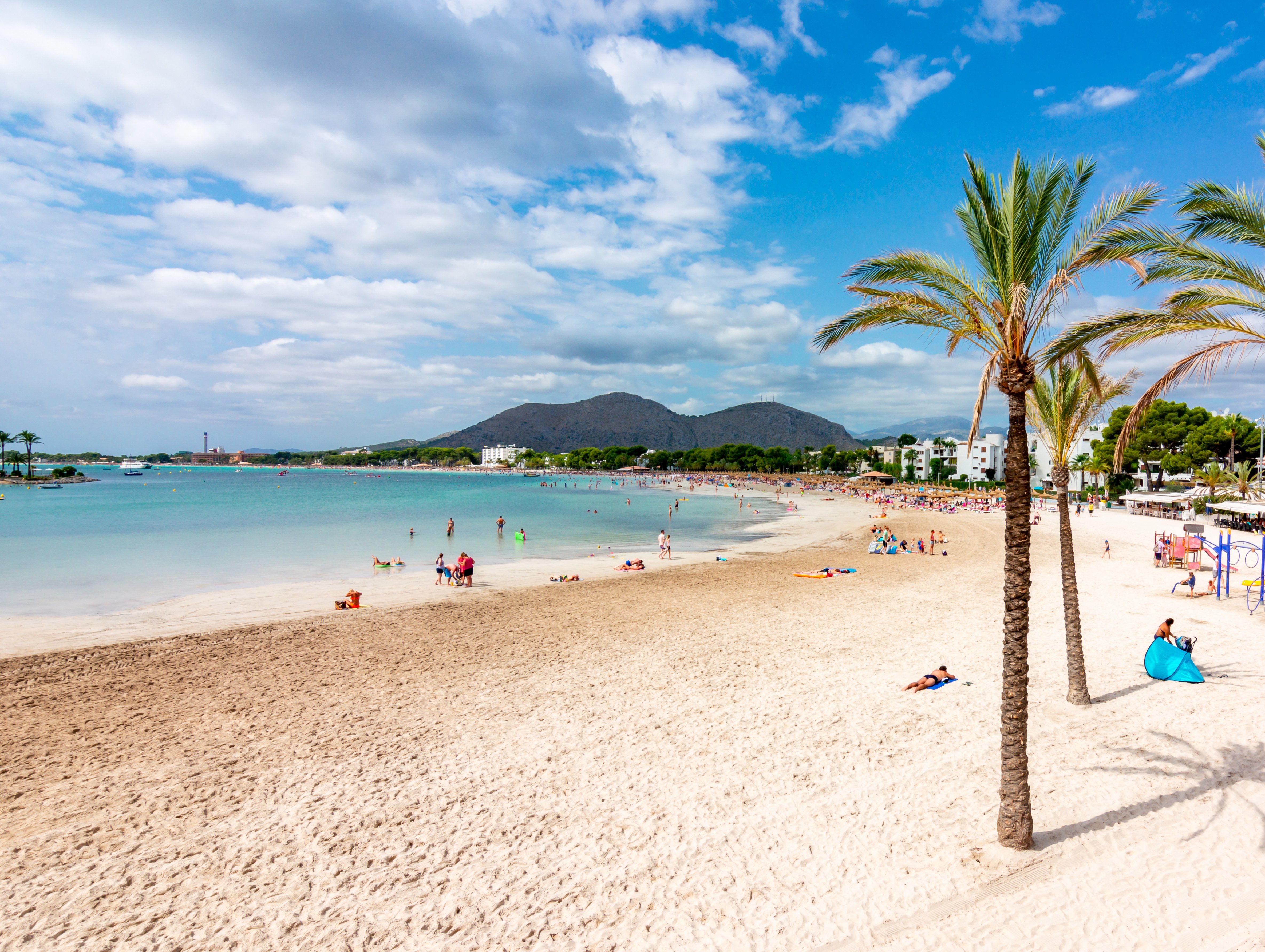 Tropical Beach 
