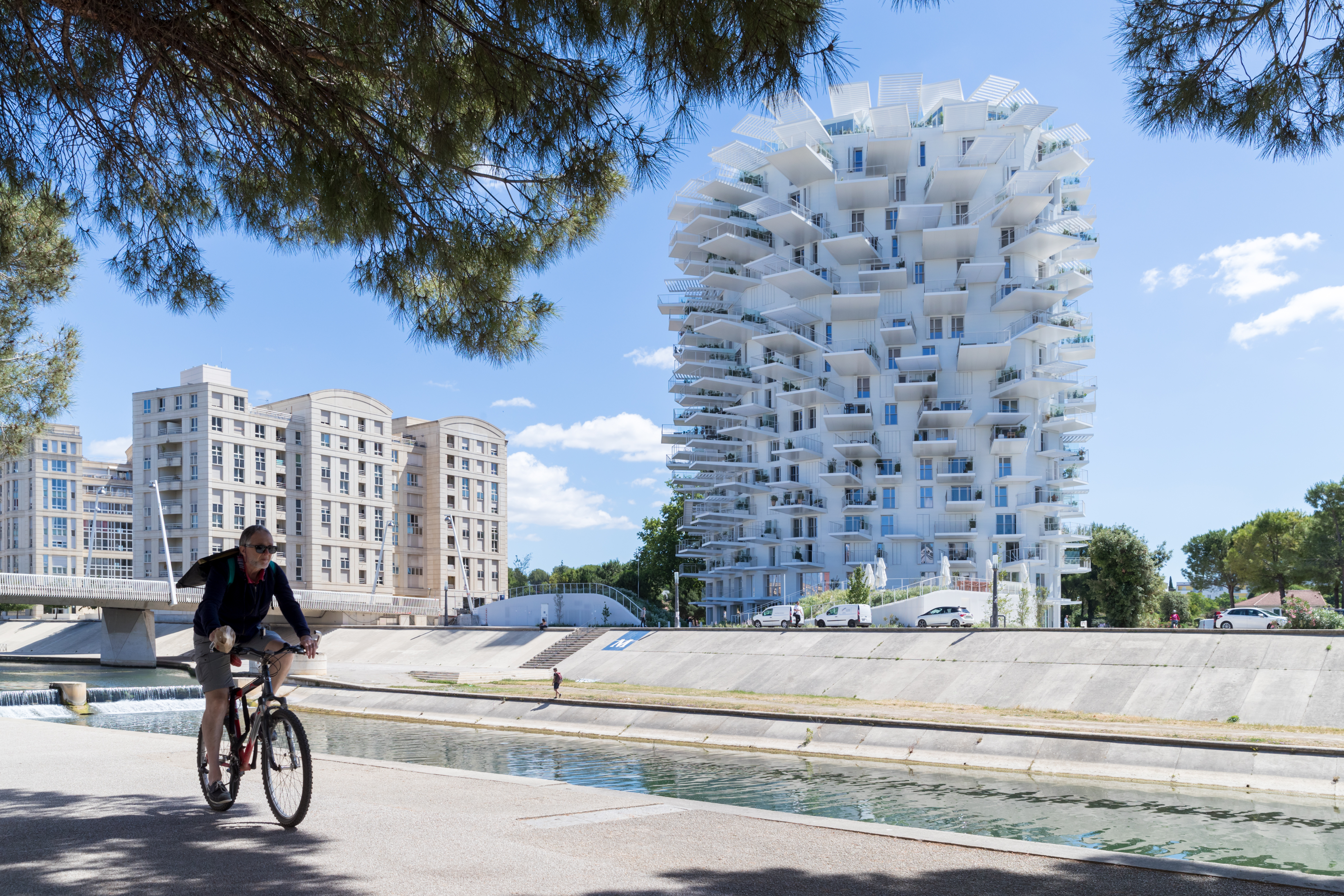 arbre blanc sfa 5197