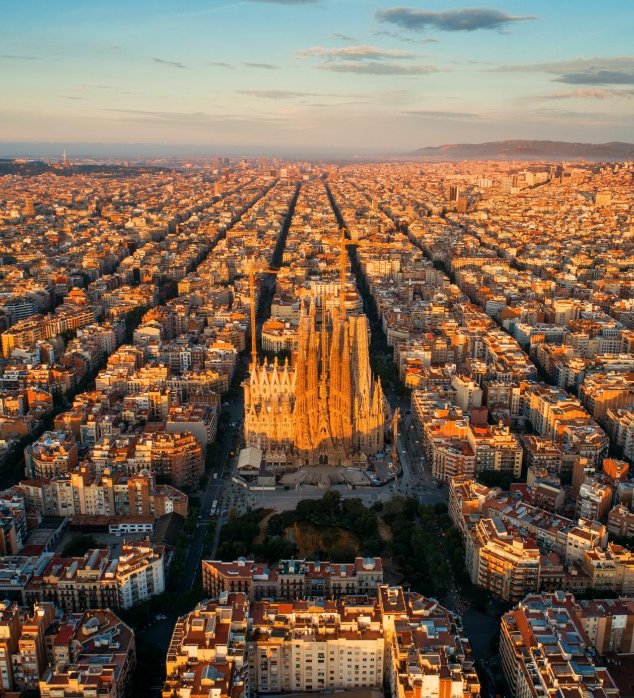 European Flex Office Market Update H2 2024