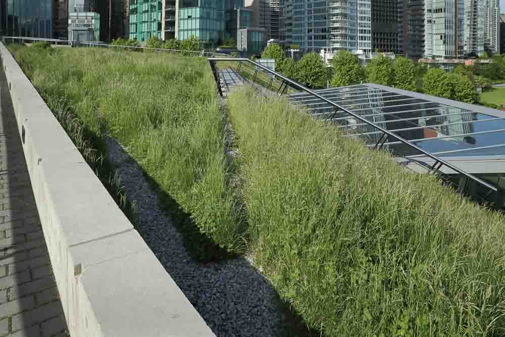 green leases