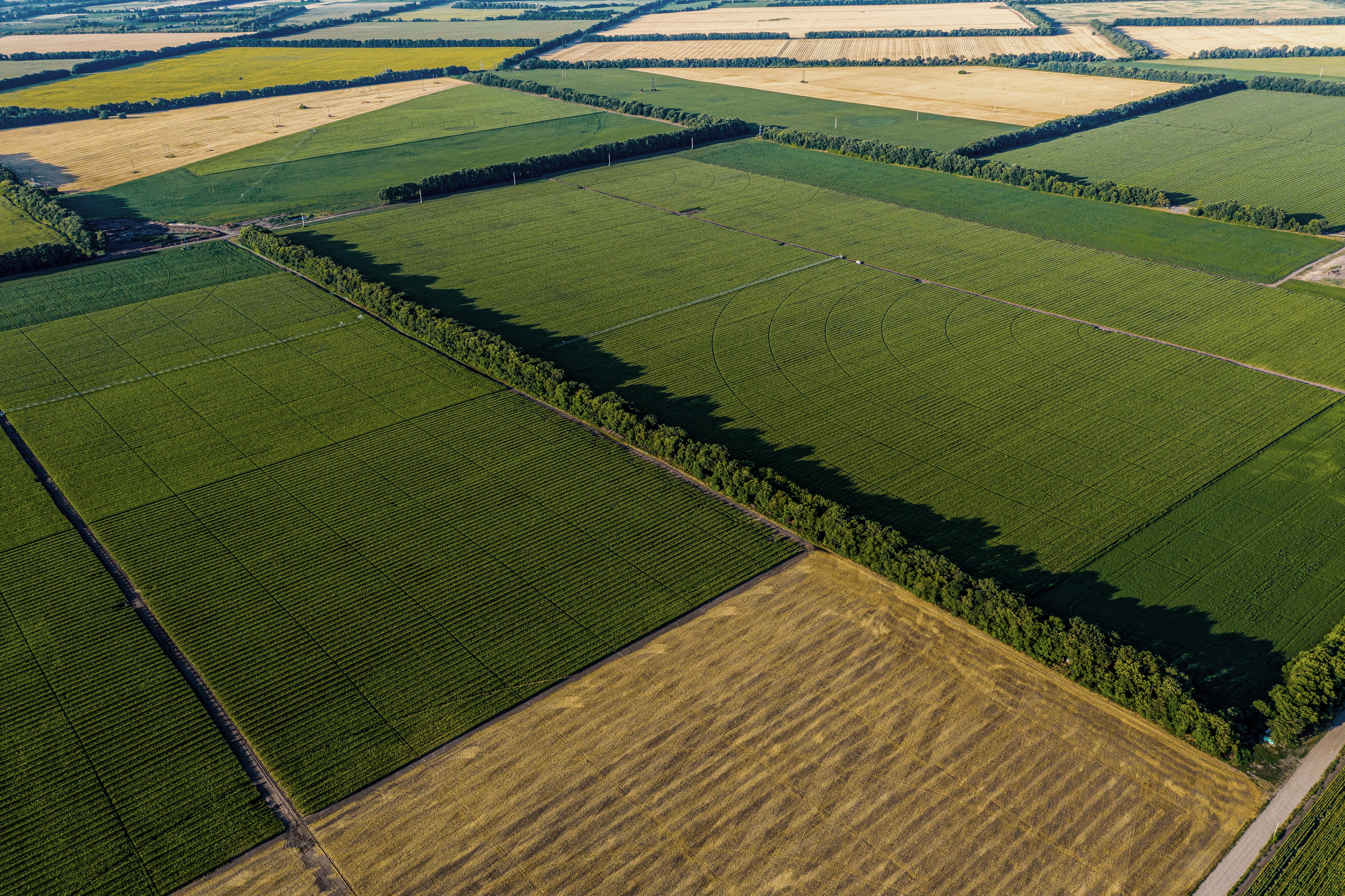 land sharing vs land sparing