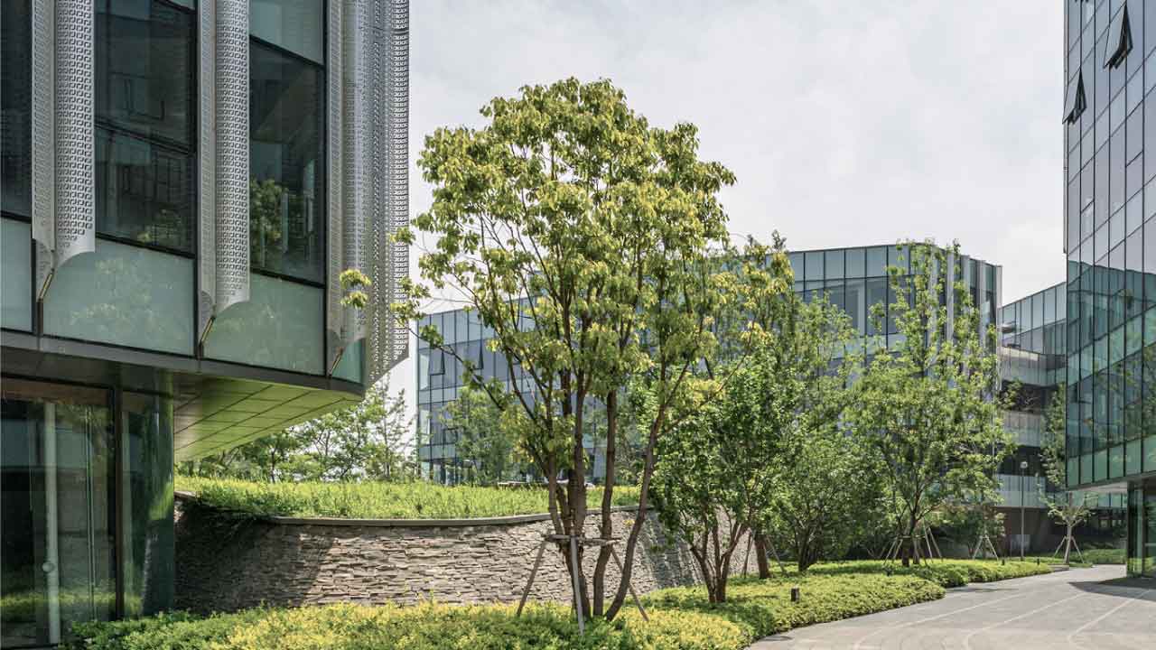 Strengthening Value Through ESG