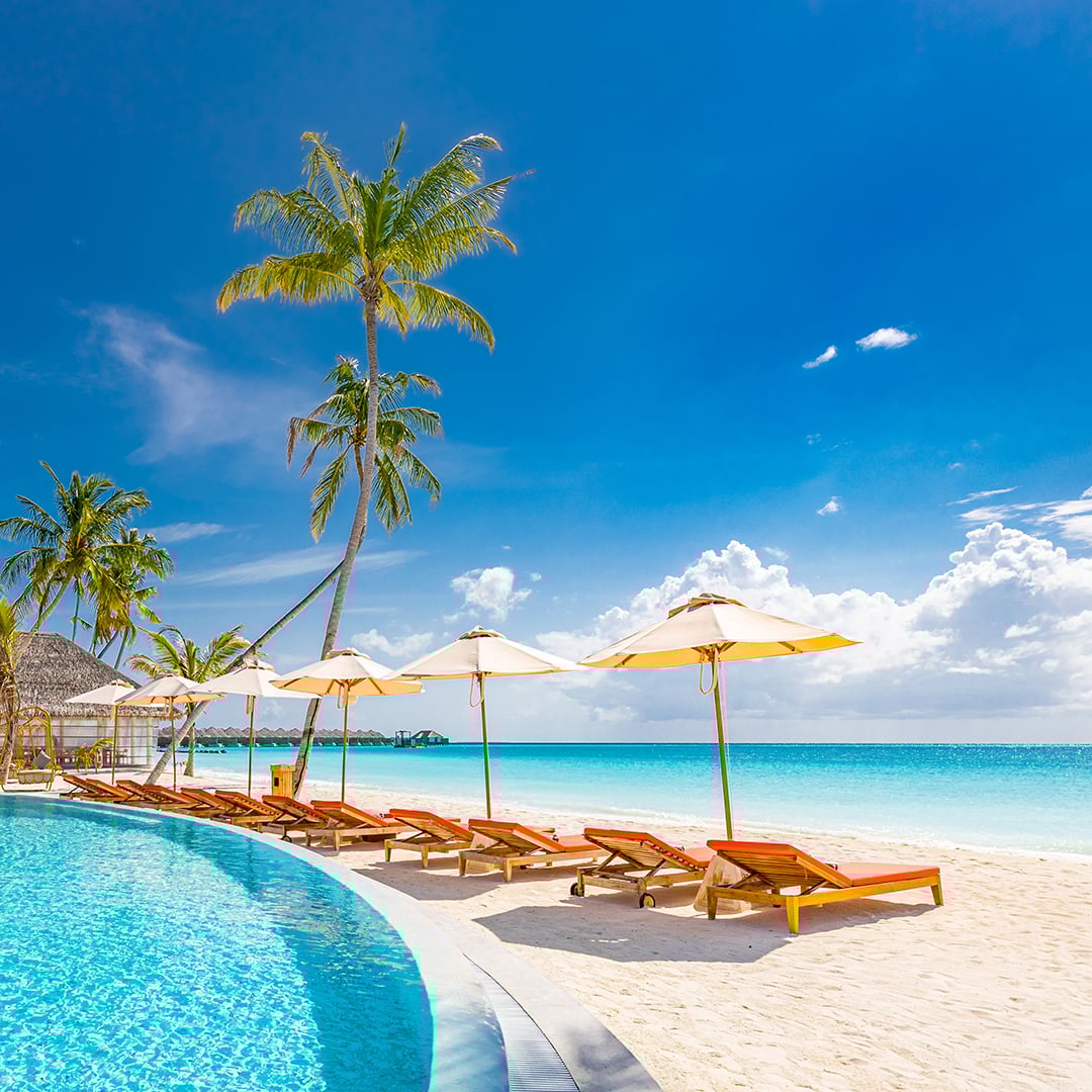 Luxury resort with curved swimming pool, white sand beach, palm trees, lounge chairs, and turquoise ocean, ideal for hospitality investment.