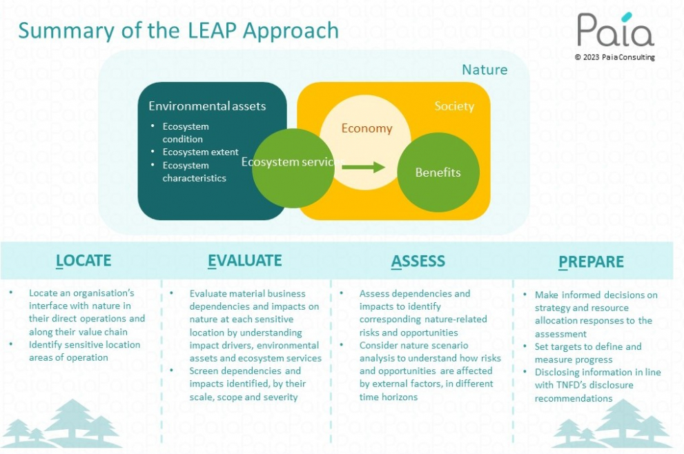 TNFD, Explained | CBRE Singapore