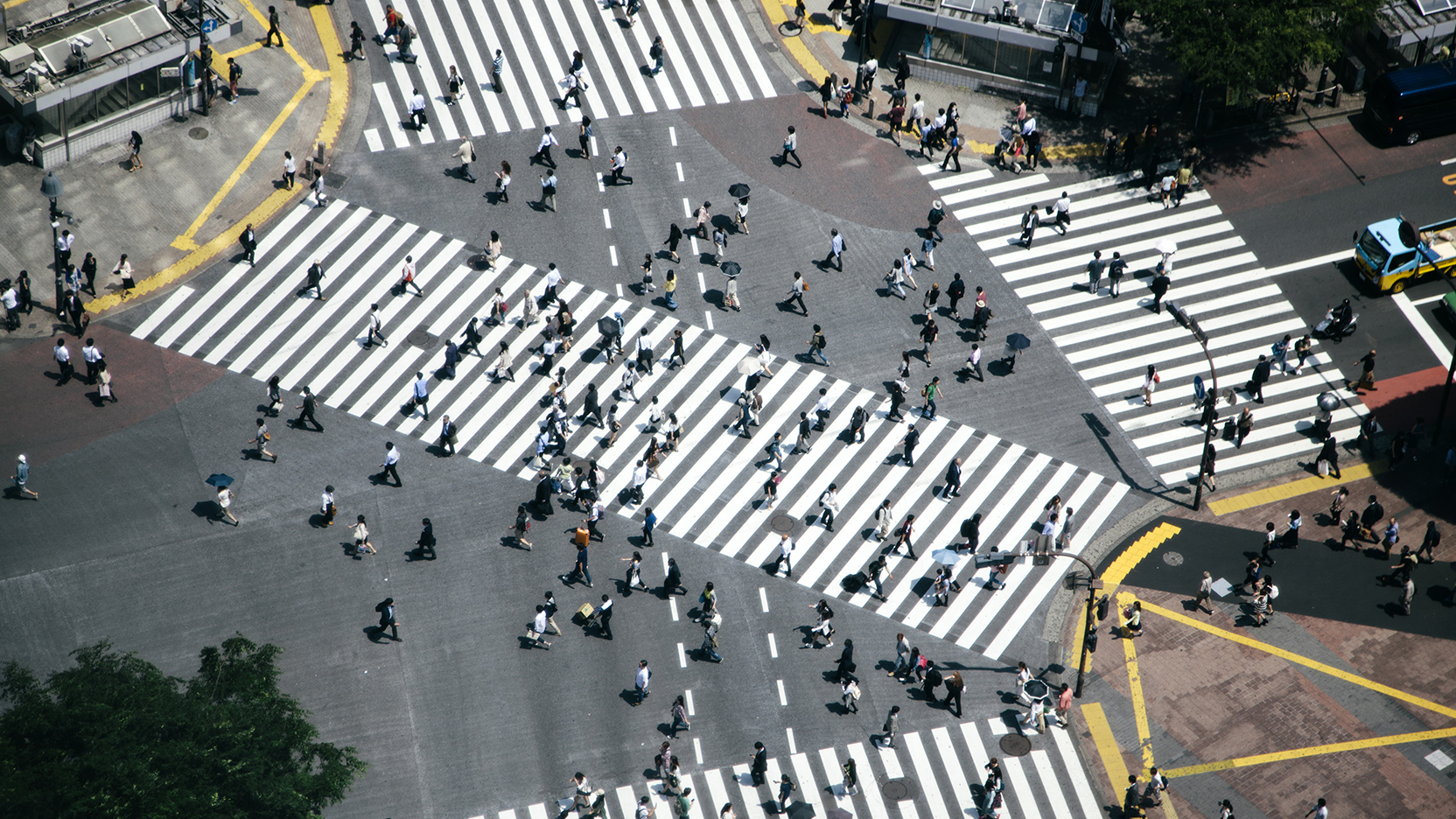 2025-asia-pacific-investor-intentions-survey-1664x936