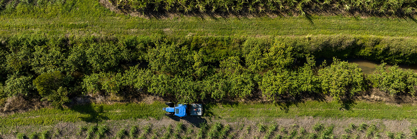 Aerial top-down view of a small tractor driving along a narrow dirt path bordered by dense green vegetation and a water channel in a rural landscape.