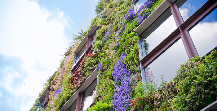 Denmark, Climate Change and Sustainable Buildings | CBRE Denmark