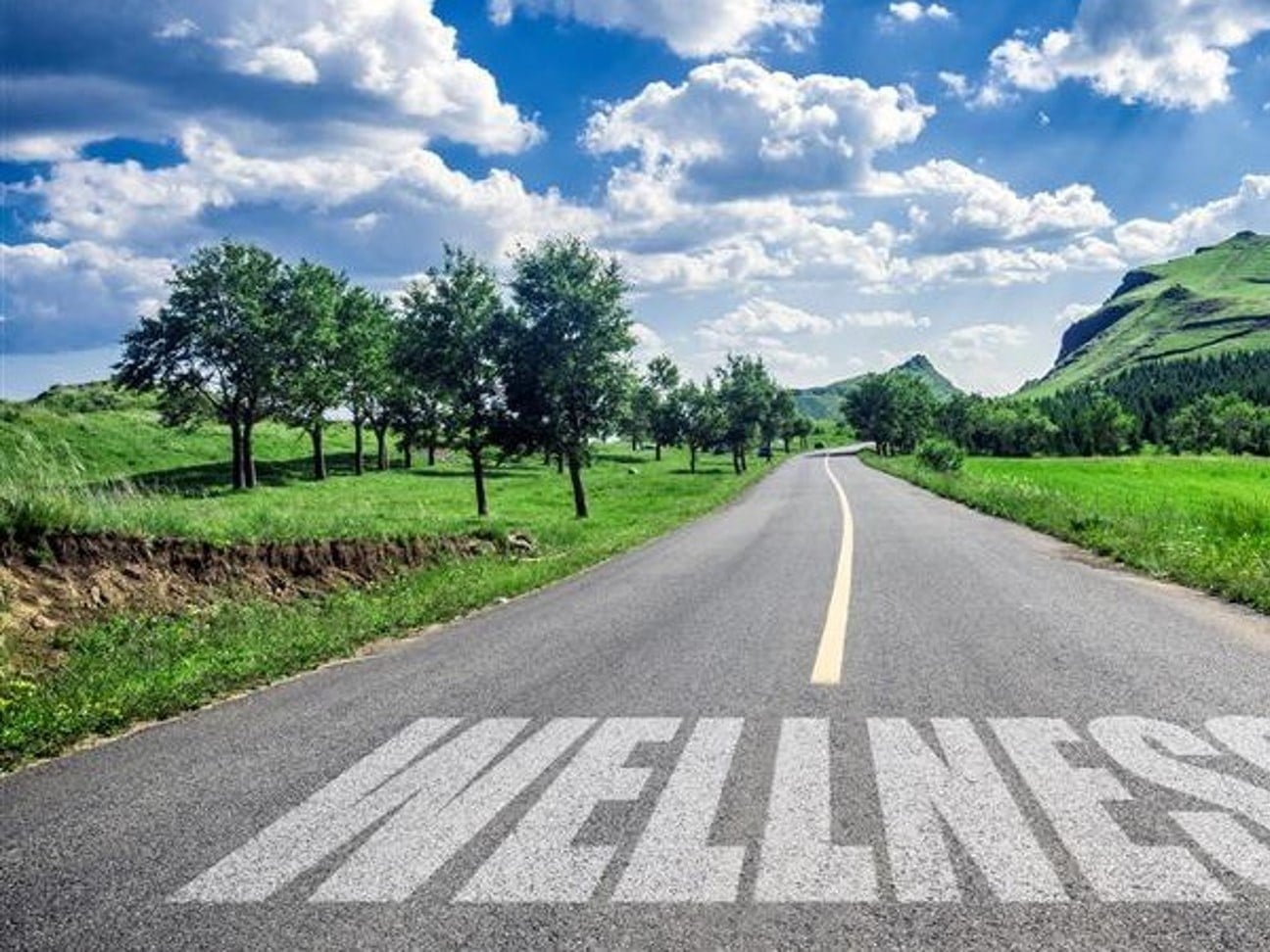 Healthy Business Indias Emerging Wellness Market