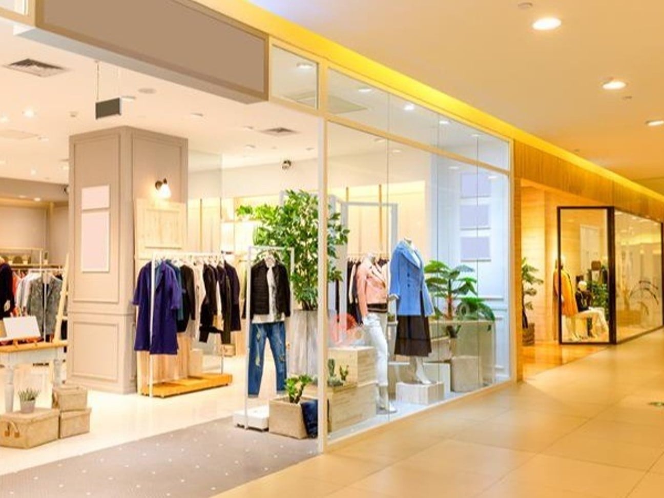 Indias D2C Boom A Catalyst for Retail Real Estate Transformation