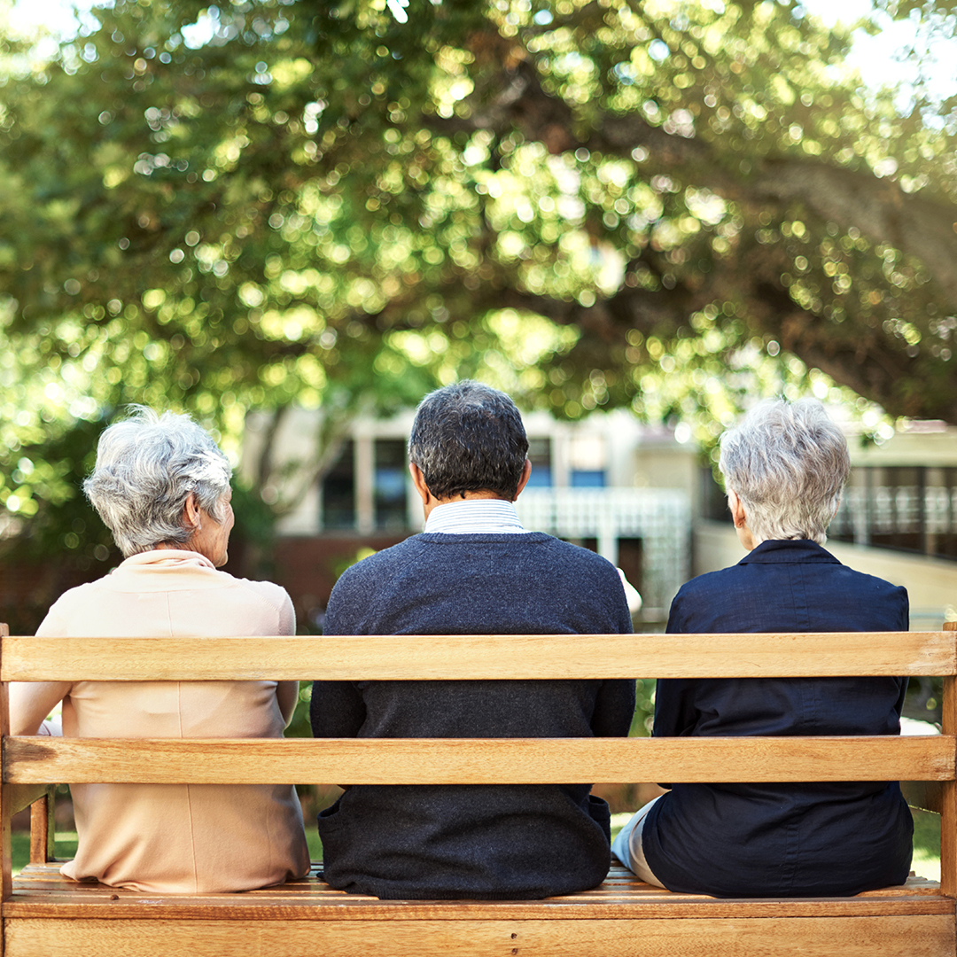 Three elderly people sit with their backs to the camera on a wooden park bench, looking out at a leafy green tree and distant buildings.